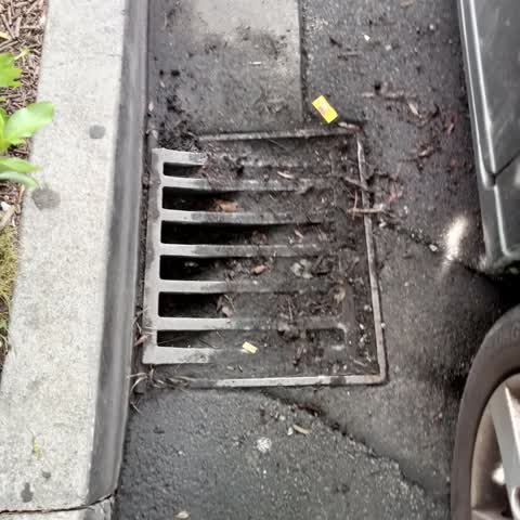 Wastewater/Stormwater, a report photo