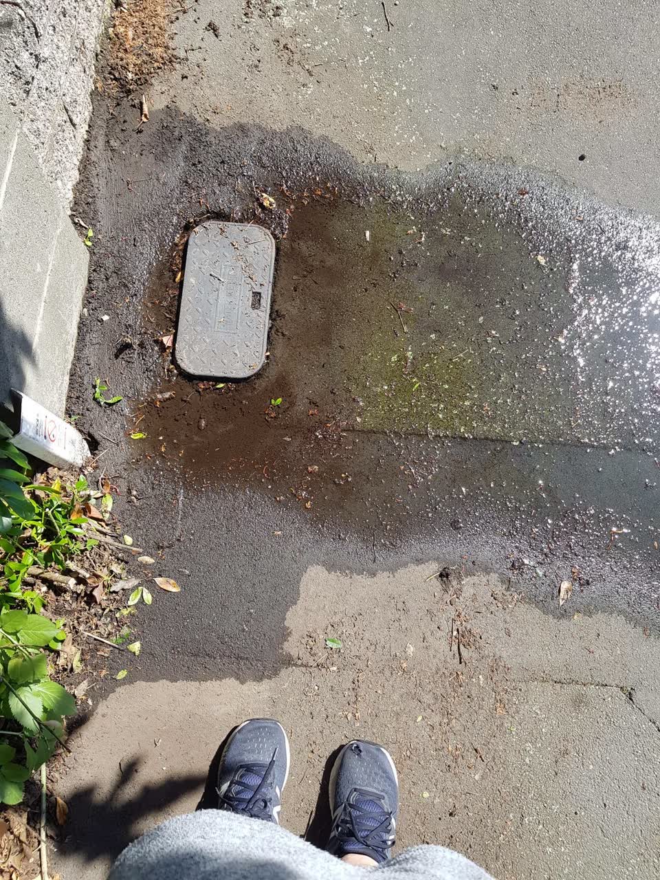 The photograph attached to this water leak report