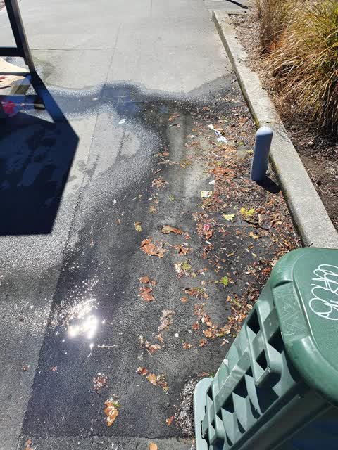 Water Leak, a report photo
