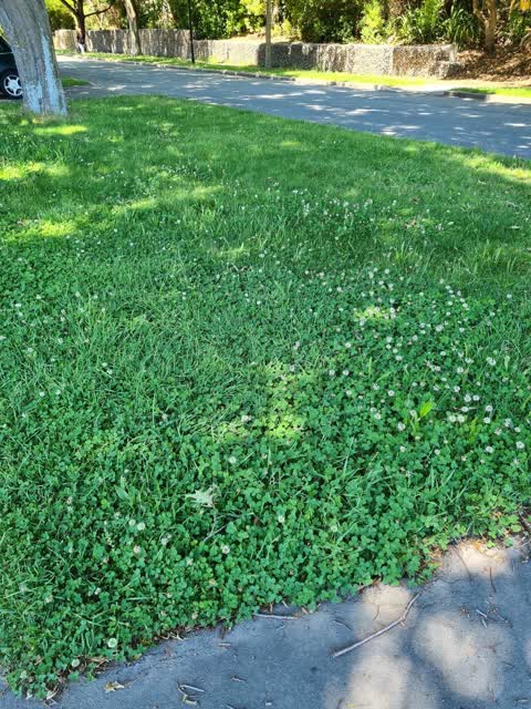 Roading/Streets, a report photo