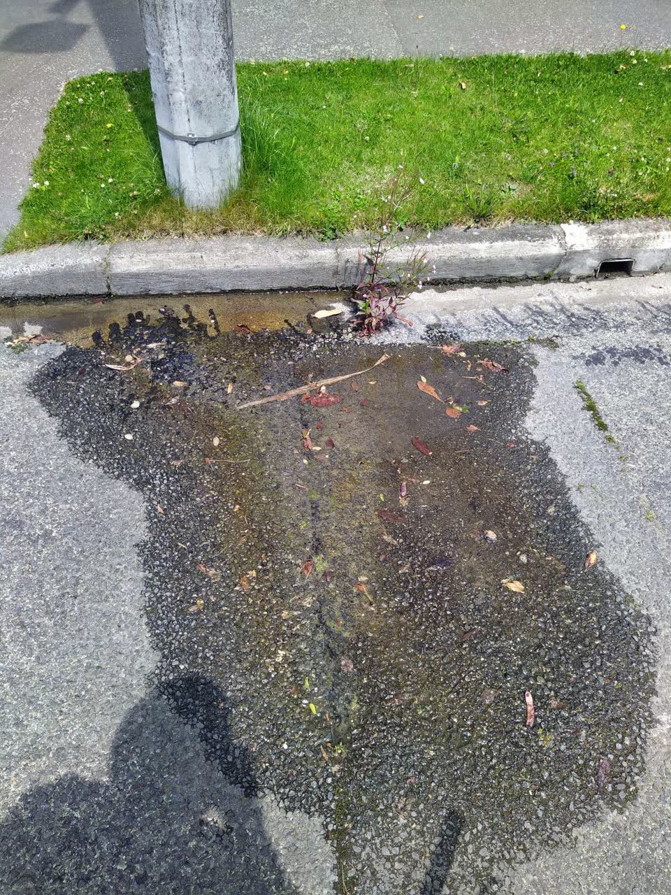 The photograph attached to this water leak report