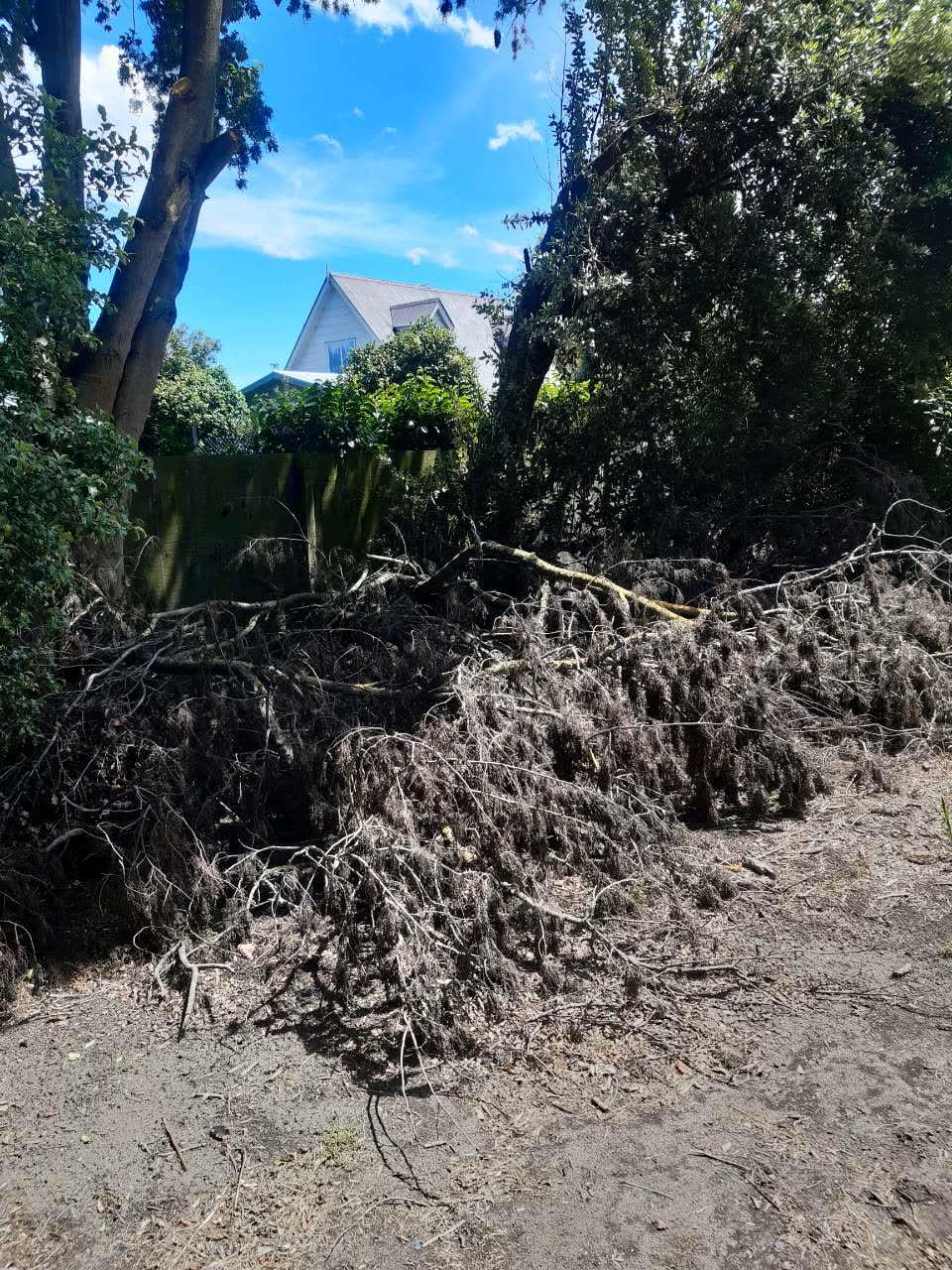 The photograph attached to this parks report