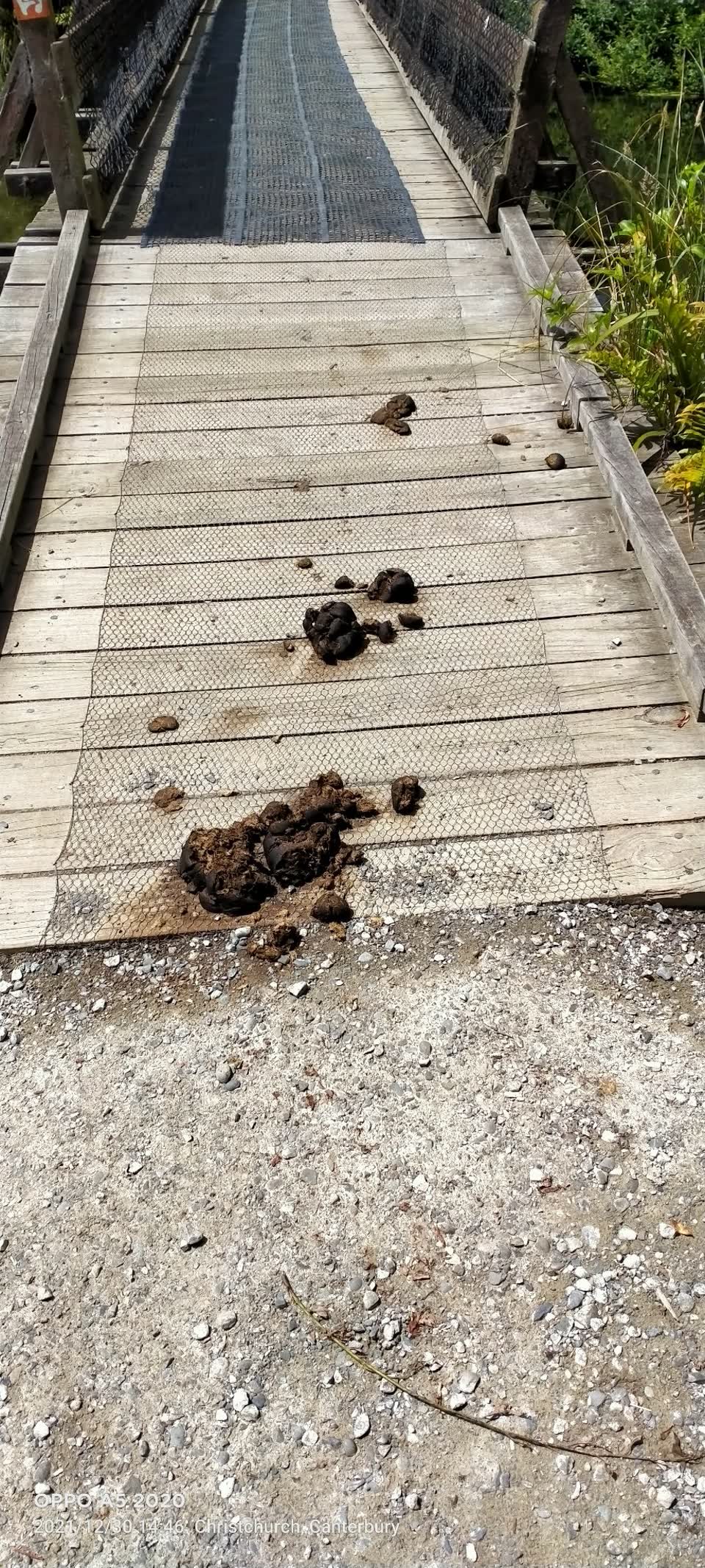 The photograph attached to this parks report