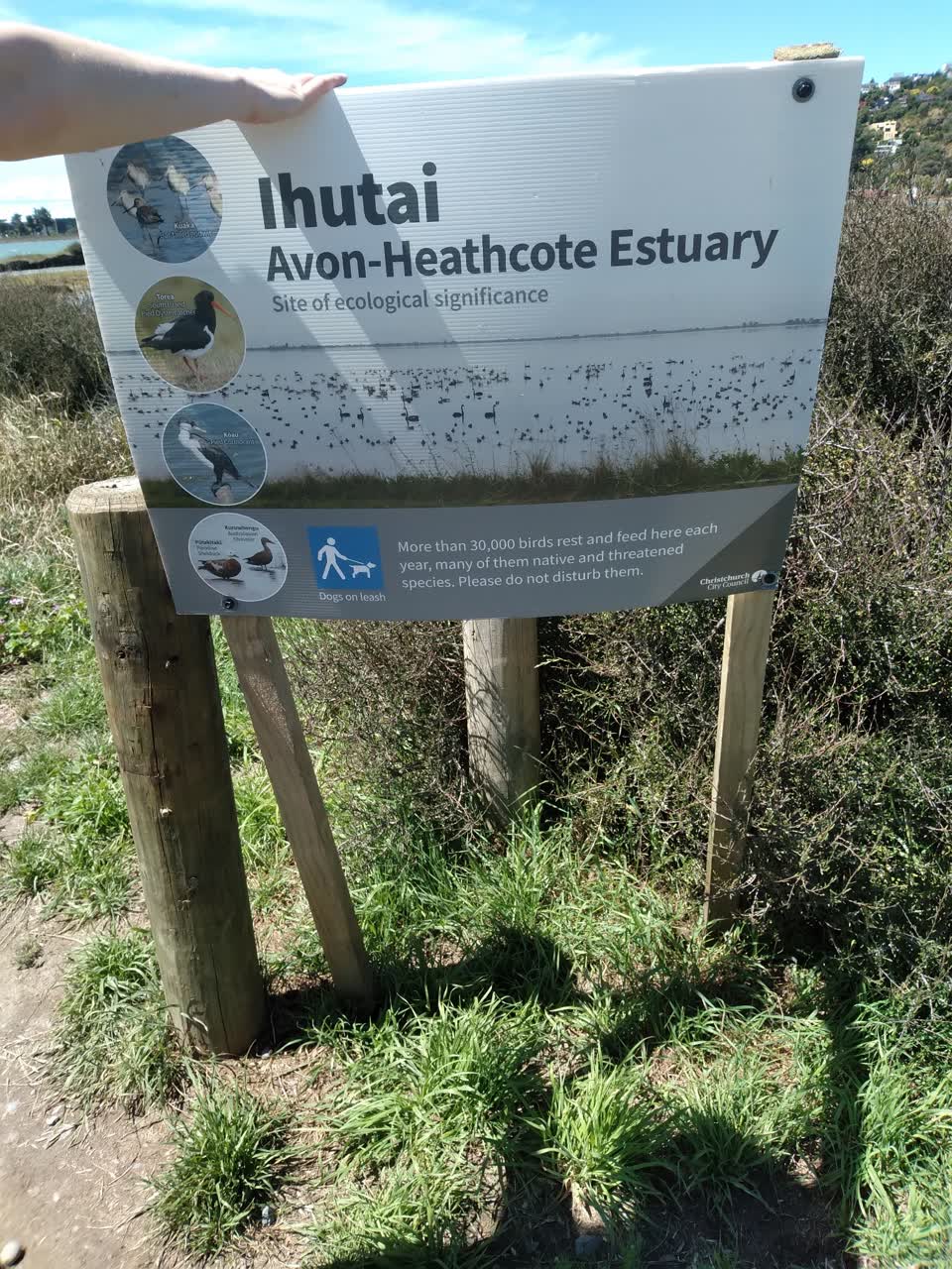 The photograph attached to this parks report