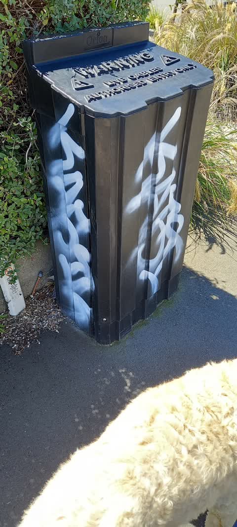 Graffiti, a report photo