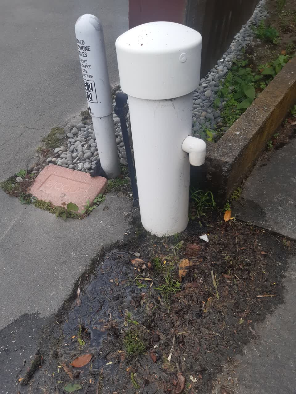 The photograph attached to this water leak report