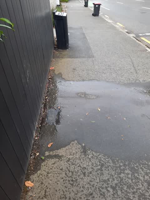 Water Leak, a report photo