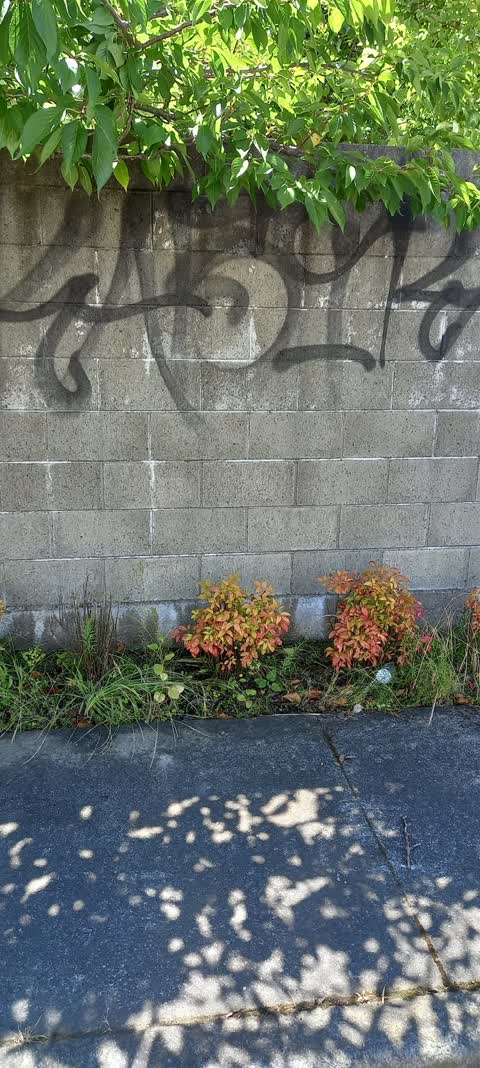Graffiti, a report photo