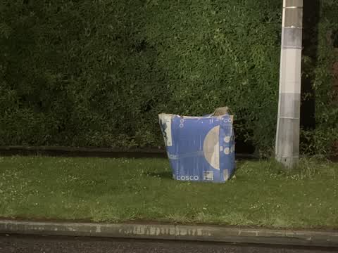 Rubbish/Recycling, a report photo