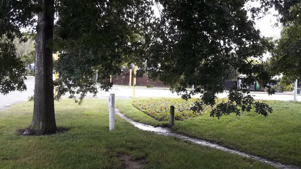 The photograph attached to this parks report