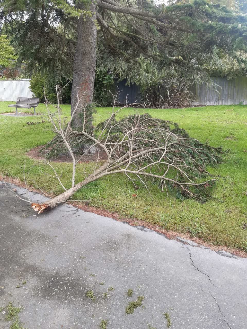 The photograph attached to this parks report