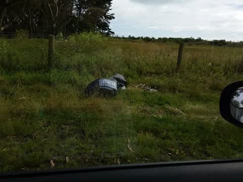Rubbish/Recycling — a report photo
