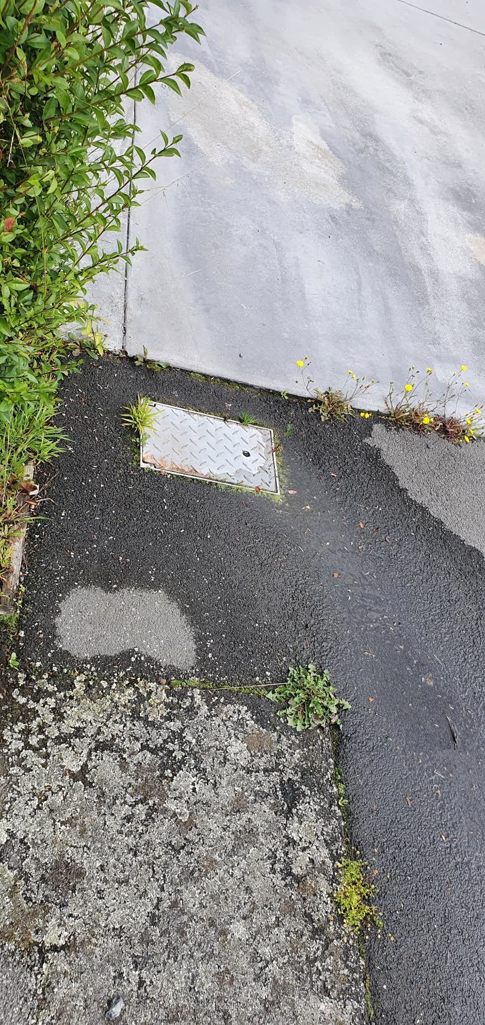 The photograph attached to this water leak report