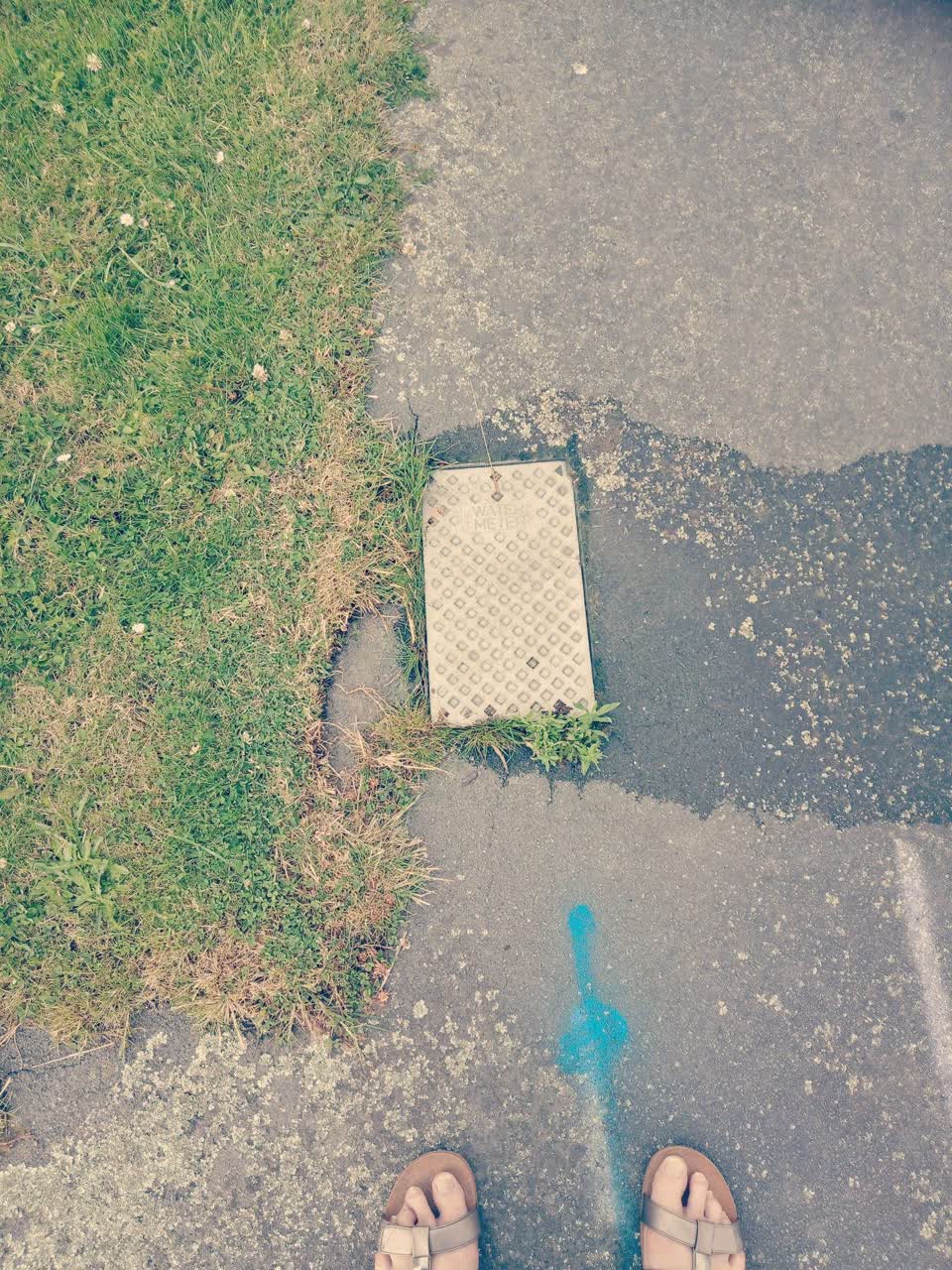 The photograph attached to this water leak report