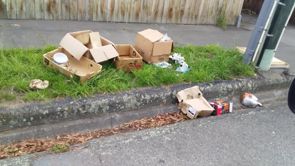 The photograph attached to this rubbish/recycling report