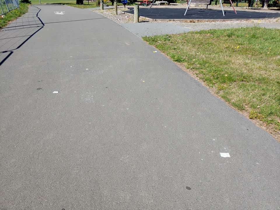 The photograph attached to this parks report