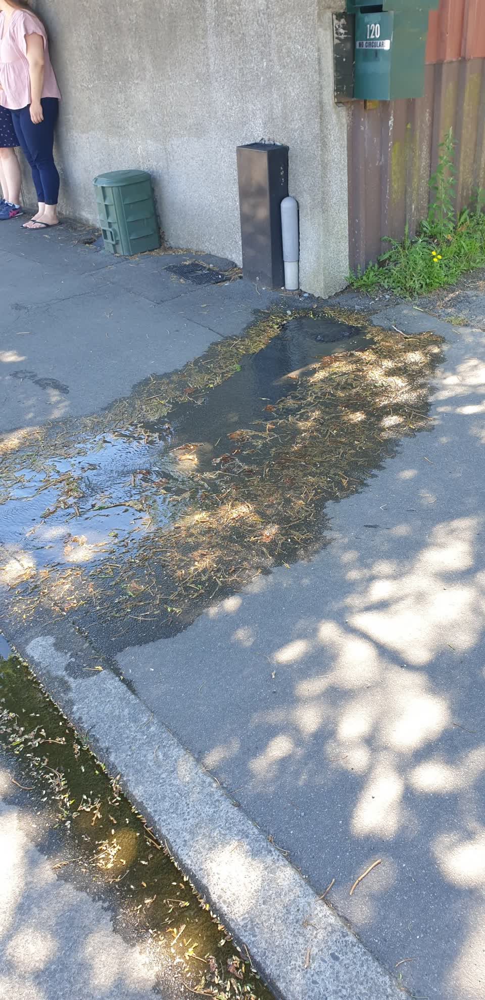 The photograph attached to this water leak report
