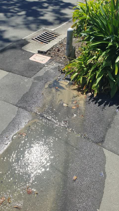 Water Leak, a report photo