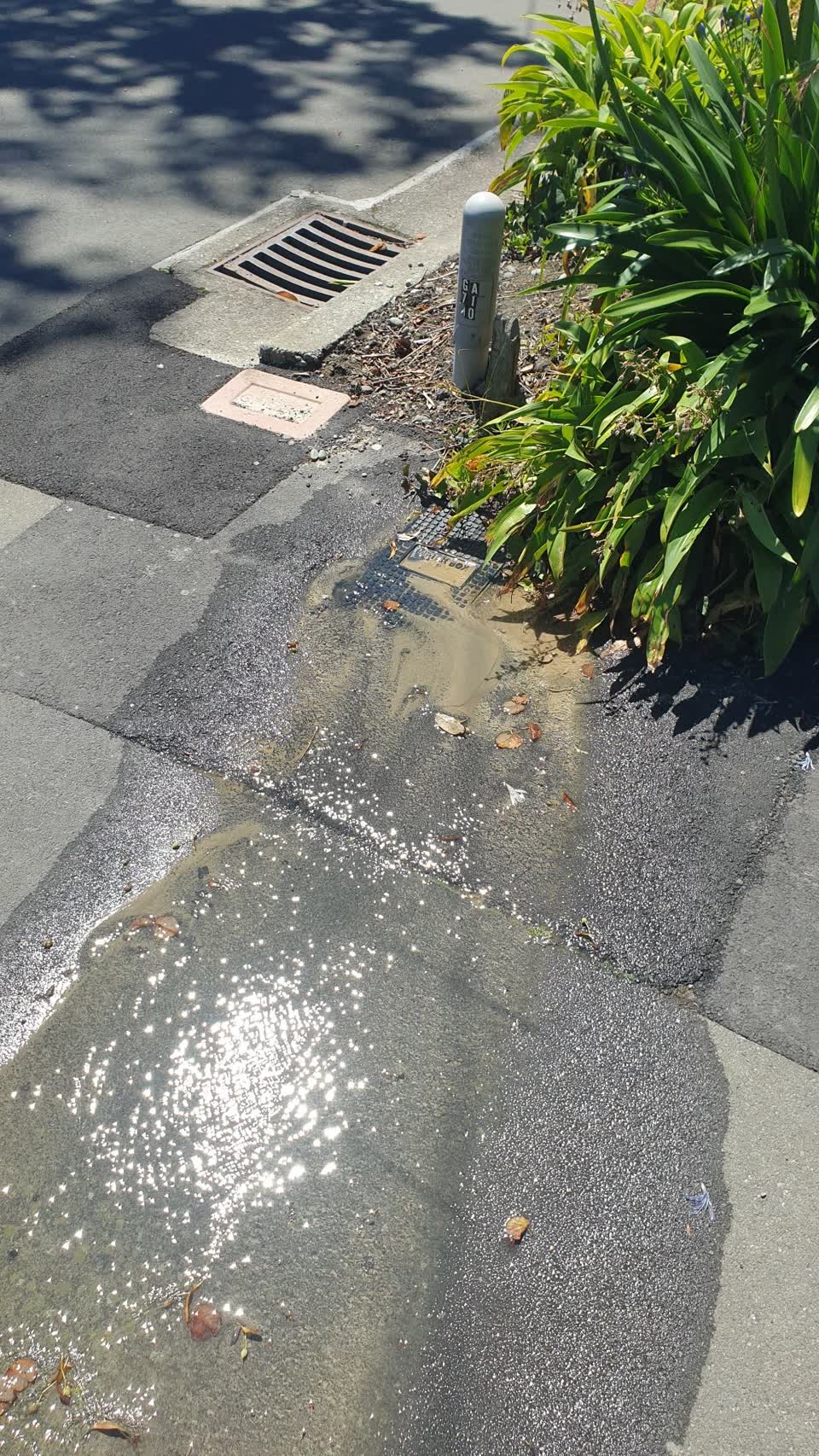 The photograph attached to this water leak report