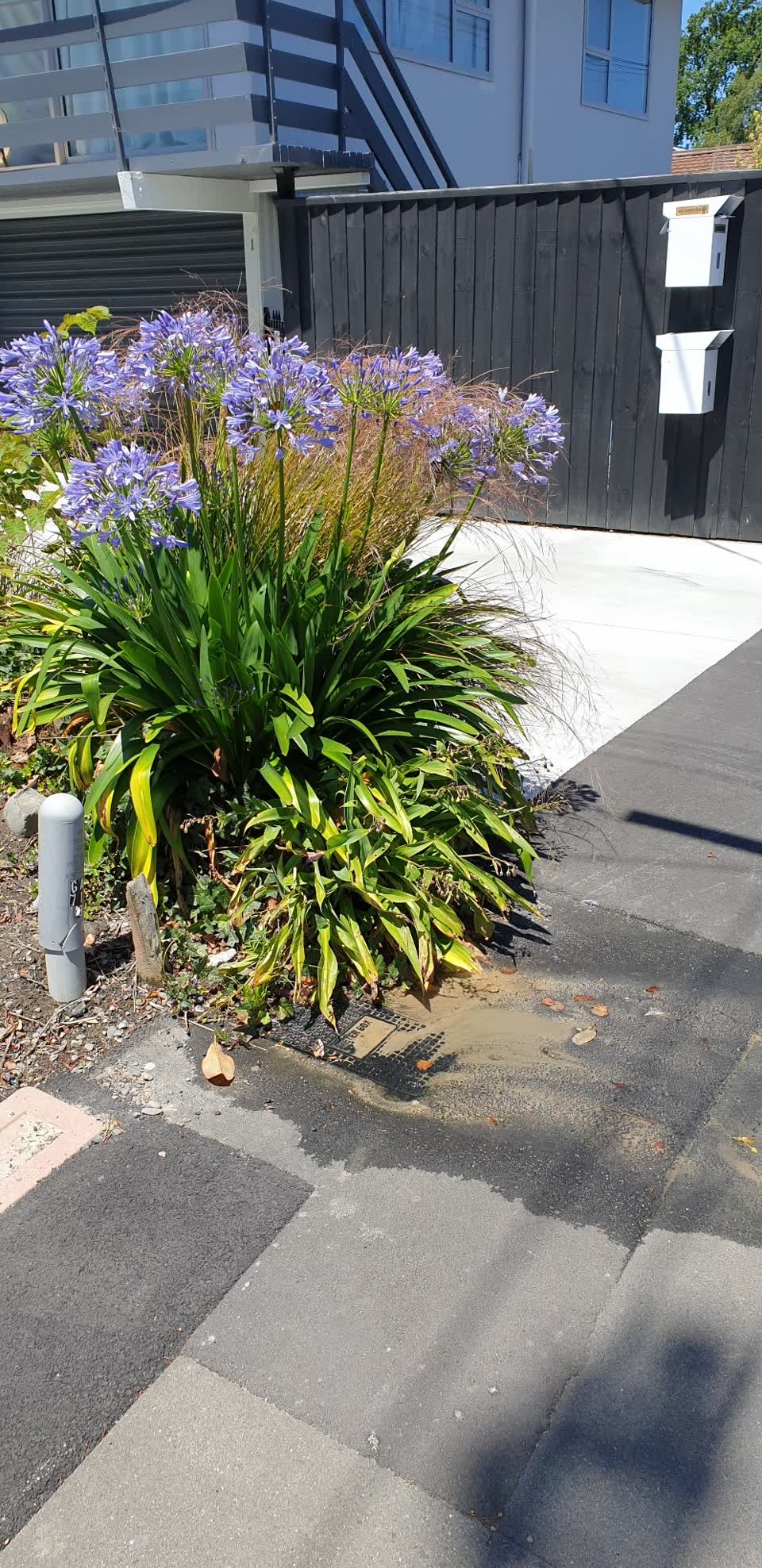 The photograph attached to this water leak report