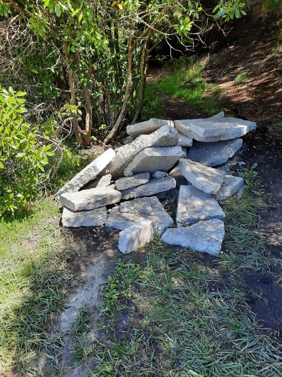 The photograph attached to this parks report