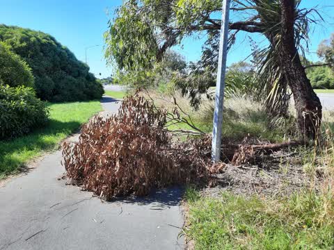 Roading/Streets, a report photo