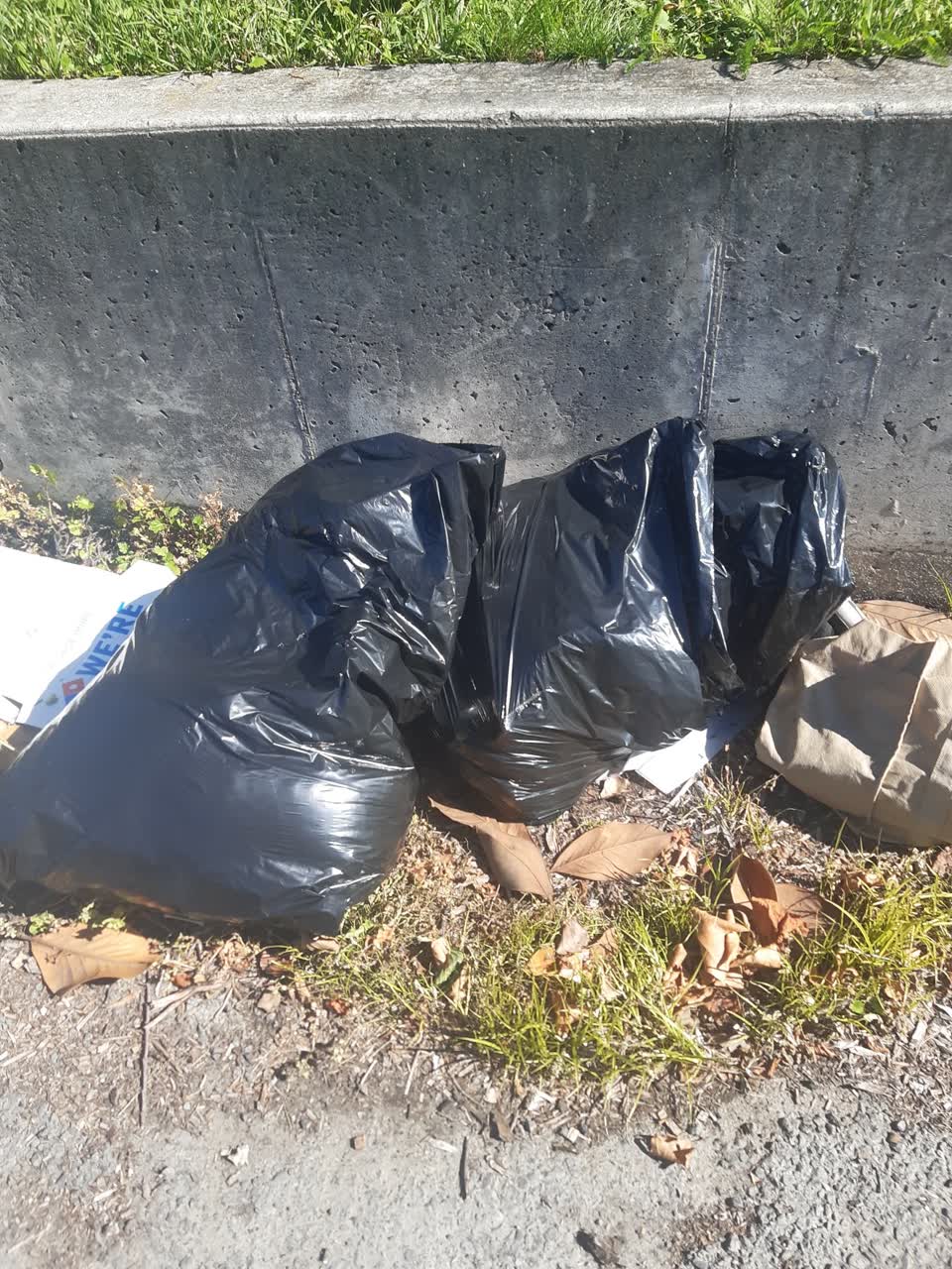 The photograph attached to this rubbish/recycling report