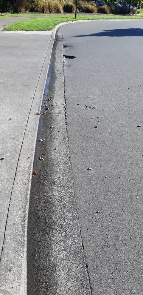 Roading/Streets, a report photo