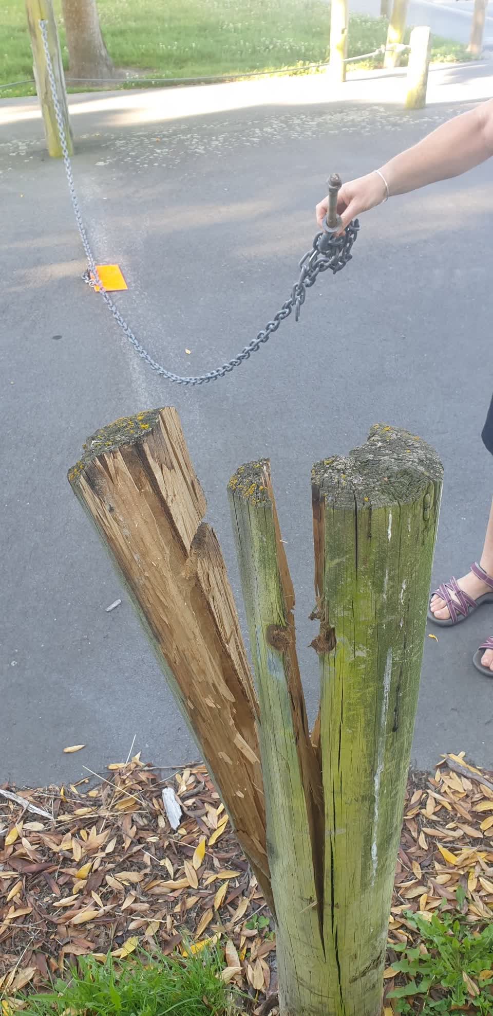 The photograph attached to this parks report