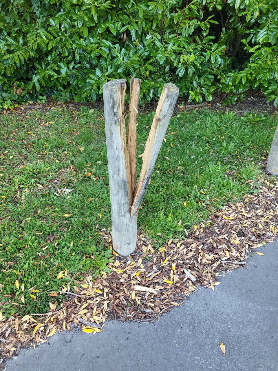 The photograph attached to this parks report