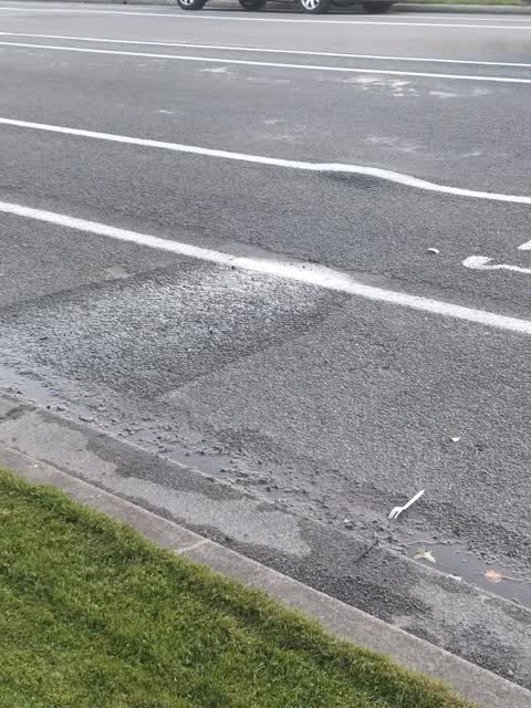 Water Leak, a report photo