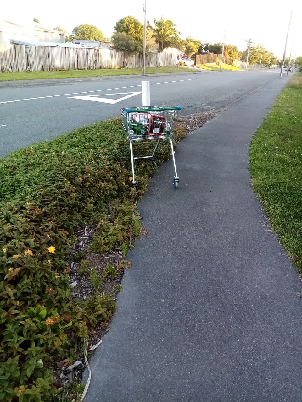 The photograph attached to this rubbish/recycling report