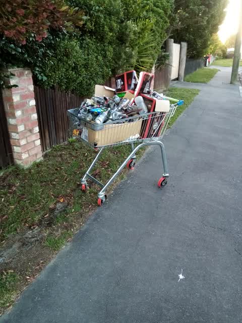Rubbish/Recycling, a report photo
