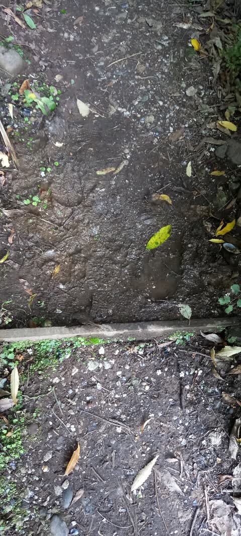 Water Leak — a report photo