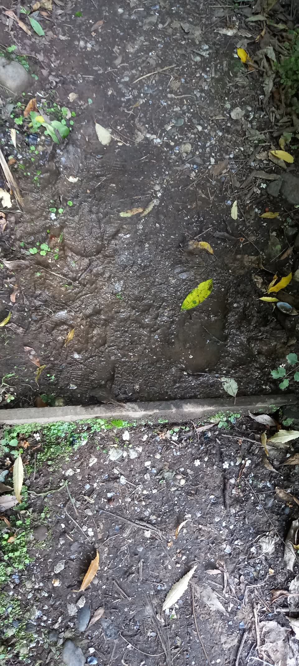 The photograph attached to this water leak report