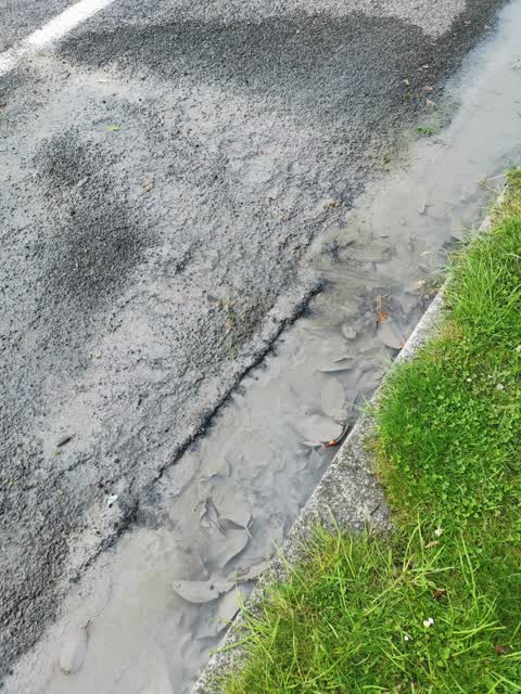 Water Leak, a report photo