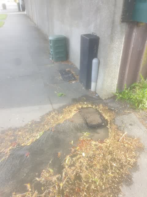 Roading/Streets, a report photo