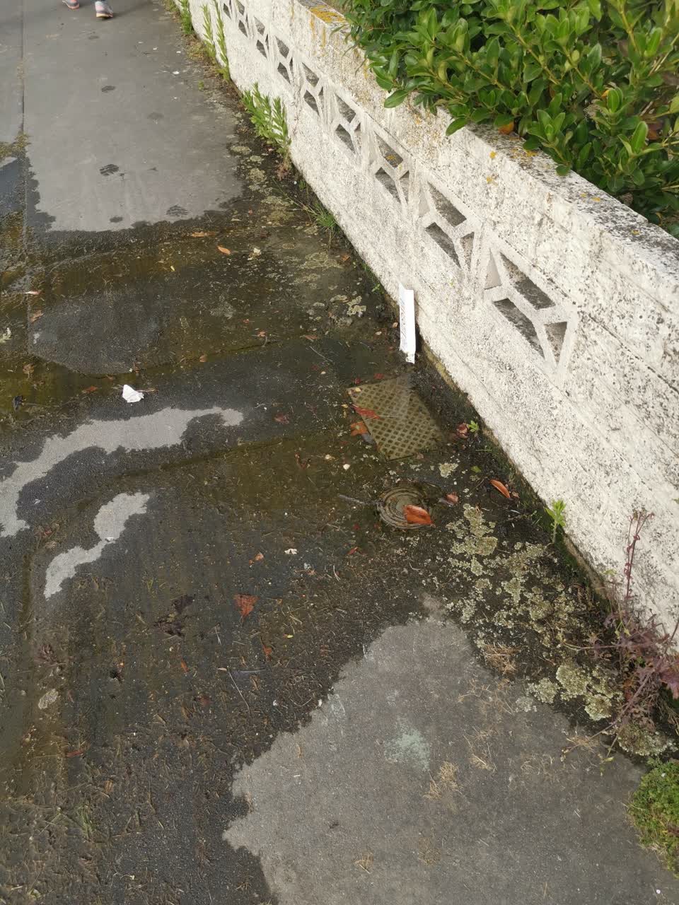 The photograph attached to this water leak report