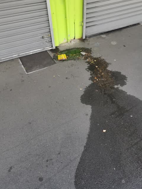 Water Leak, a report photo