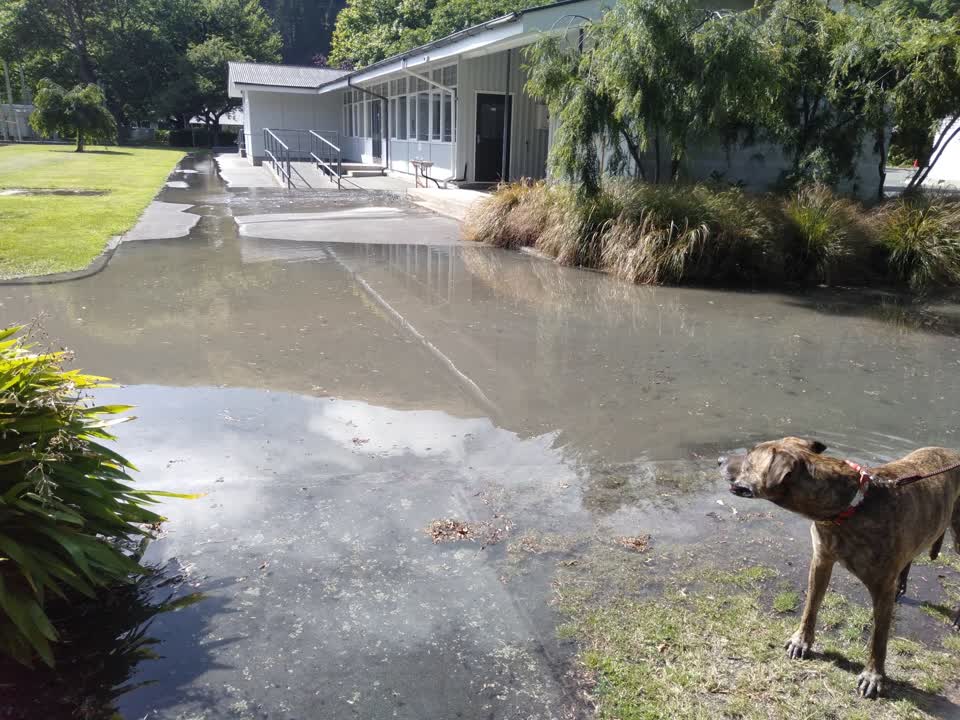 The photograph attached to this flooding report