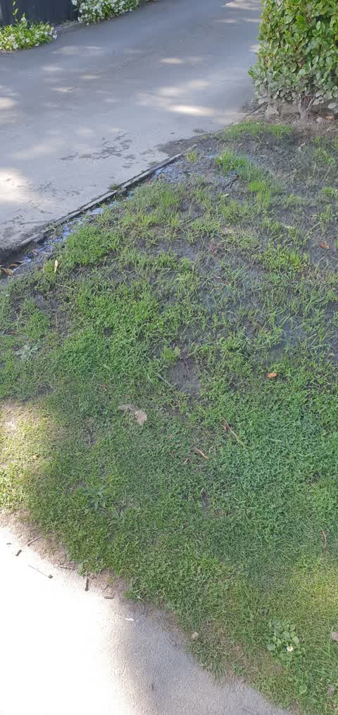 Water Leak, a report photo