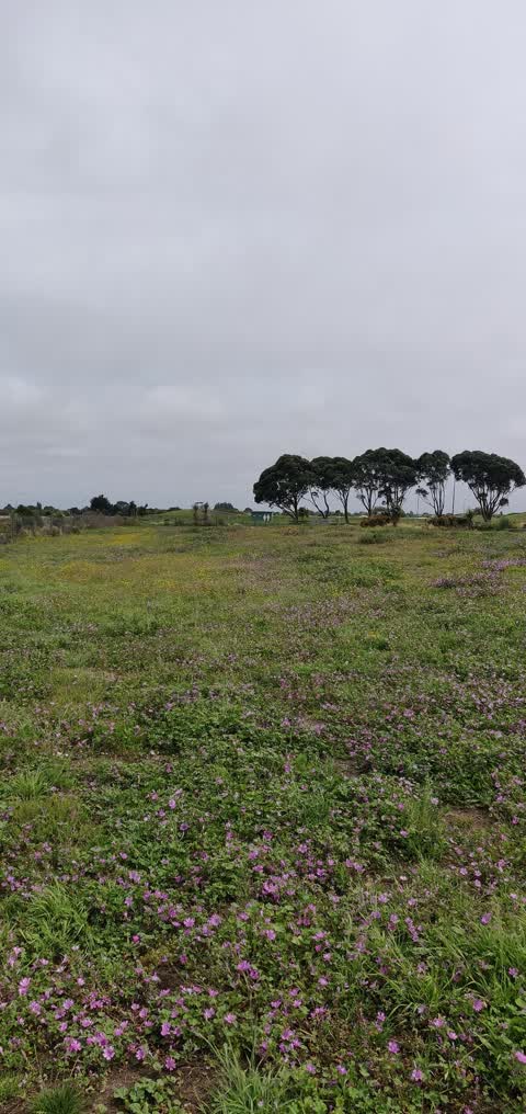 Parks — a report photo