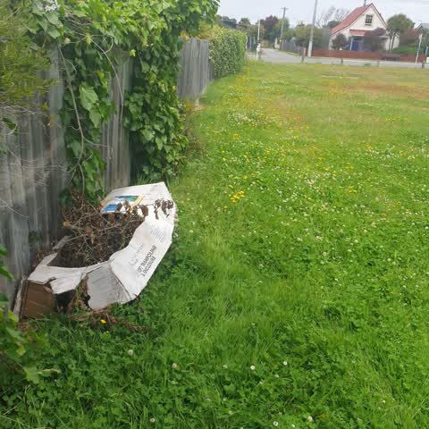 Rubbish/Recycling, a report photo