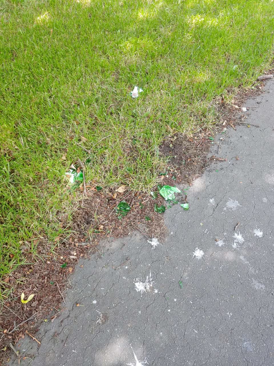 The photograph attached to this parks report