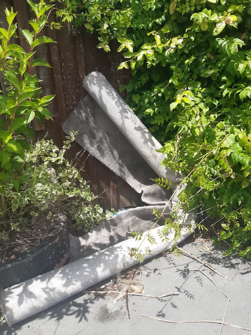 The photograph attached to this rubbish/recycling report