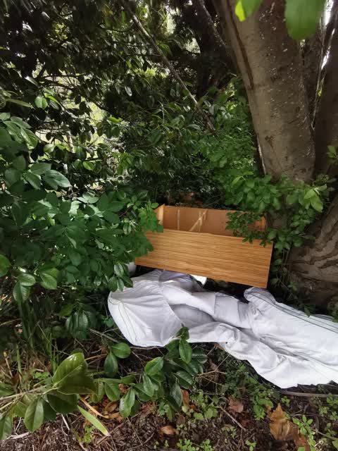 Rubbish/Recycling — a report photo