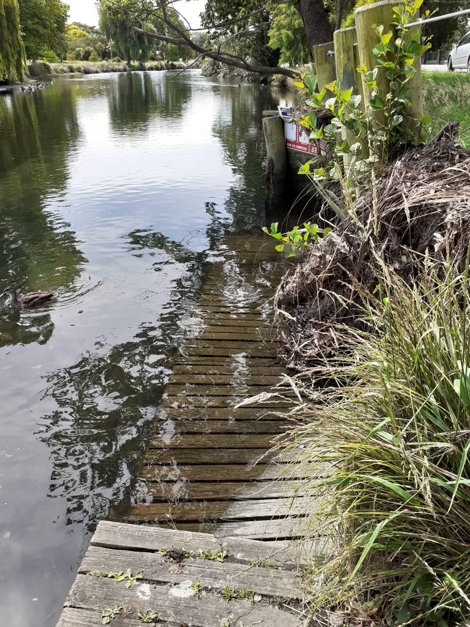 The photograph attached to this parks report