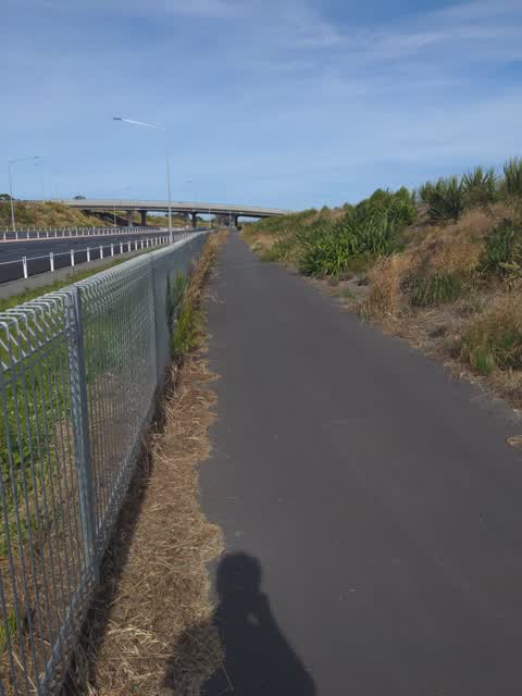 Roading/Streets, a report photo