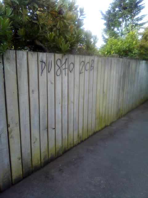 Graffiti, a report photo
