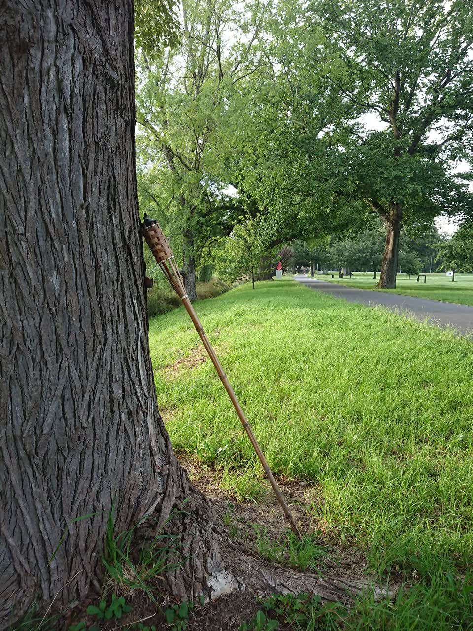 The photograph attached to this parks report
